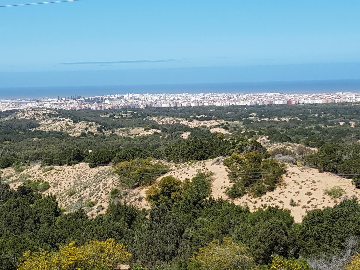 Riad Sidi Magdoul Essaouira Bagian luar foto