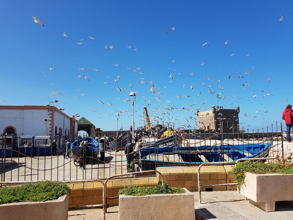 Riad Sidi Magdoul Essaouira Bagian luar foto