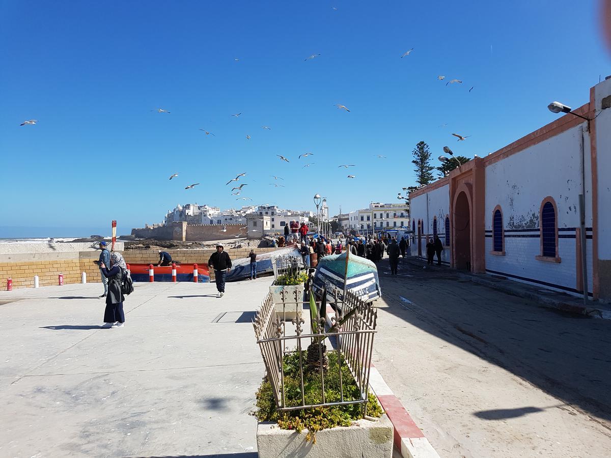 Riad Sidi Magdoul Essaouira Bagian luar foto